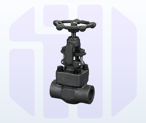 Globe Valves — Forged Steel